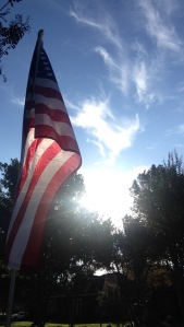 Flag flying outside my house on Veterans Day.